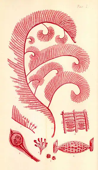 Description de cette image, également commentée ci-après