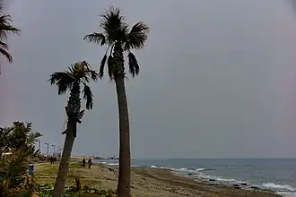 Plage de Carchuna&nbsp;(es)