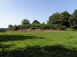 Le tumulus de Run-ar-Bleiz (Tertre-aux-Loups) 1.