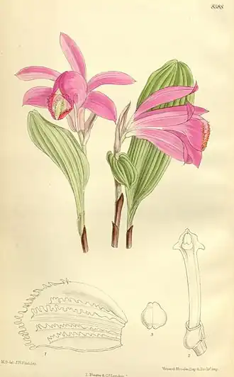 Description de cette image, également commentée ci-après