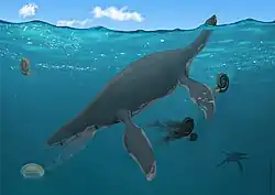 Reconstitution artistique de Plesiopharos moelensis