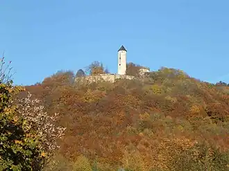 Image illustrative de l’article Château de Plesse