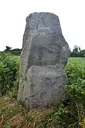 Menhir n°1.