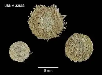 Description de cette image, également commentée ci-après