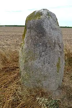 Menhir de Kervinou