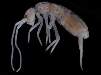 Description de cette image, également commentée ci-après