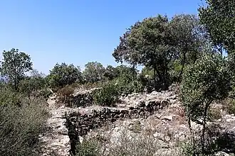 Image illustrative de l’article Village ibérique de Turó de Céllecs