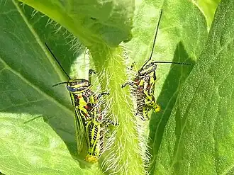 Description de cette image, également commentée ci-après