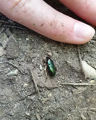 Description de cette image, également commentée ci-après