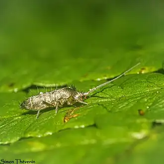 Description de cette image, également commentée ci-après