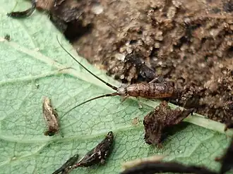 Description de cette image, également commentée ci-après