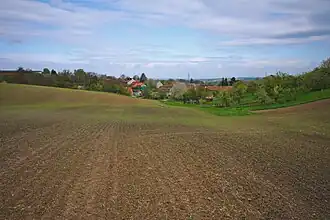 Vitčice