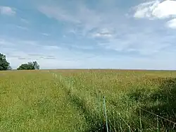 La colline à la ferme de Nautuc.