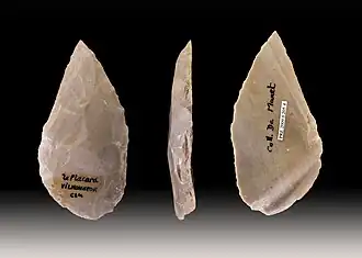 Pointe moustérienne(Muséum de Toulouse).