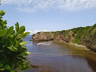 Pointe Petite Savane