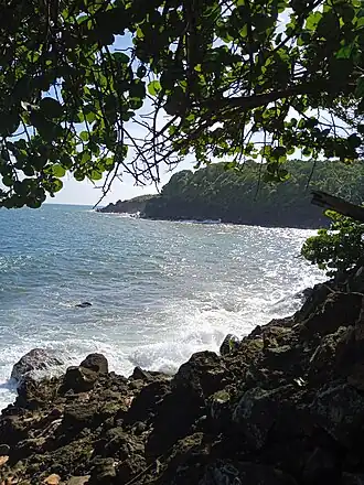 La Pointe Saint-Jacques en novembre 2023