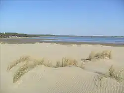 La côte de la baie vue depuis la pointe de la Coubre.