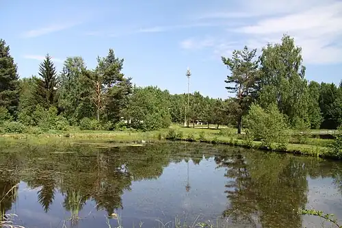 Étang de la zone humide de Polánka.