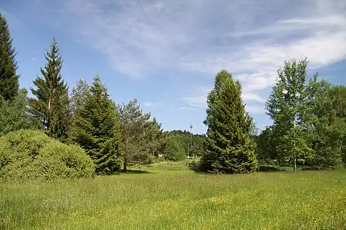 Zone humide de Polánka.