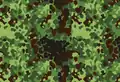Flecktarn Woodland polonaisGepard
