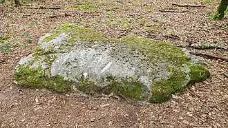 Un des deux Polissoirs d'Abondant.&nbsp;Classé&nbsp;MH (1925).