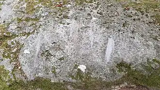 Vue des marques d'un des deux Polissoirs d'Abondant.&nbsp;Classé&nbsp;MH (1925).