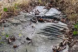 Polissoir de Grimery, Buno-Bonnevaux