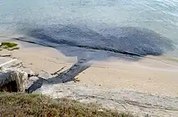 Un rejet d'eau sombre traverse une plage de sable pour venir troubler la mer.