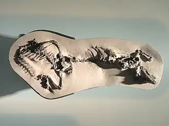 Description de cette image, également commentée ci-après