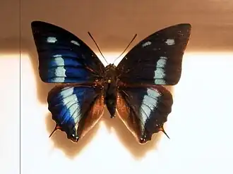 Description de cette image, également commentée ci-après