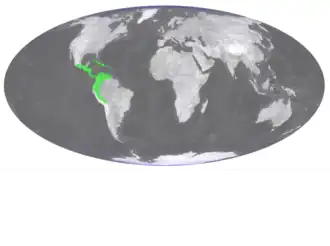 Description de l'image Polyphlebium capillaceum distribution.png.