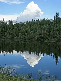 Paysage du Yukon.