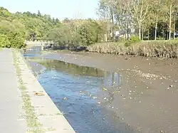 La Douffine à Ty-Beuz et le quai de l'ancien port.