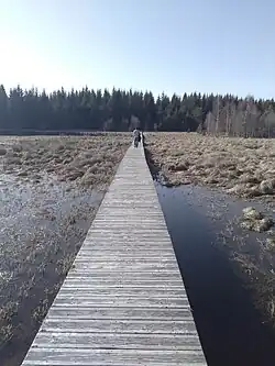 Pont de bois sur tourbière (sentier du tour du lac).