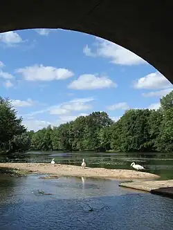 Pont Saint-Nicolas,vue aval.