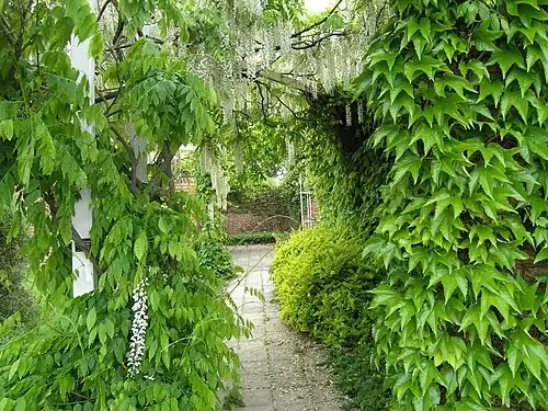 Vue du jardin dendrologique
