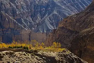 Pépinière non loin de Ghyakar.