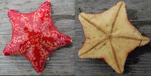 Description de cette image, également commentée ci-après