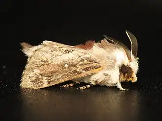 Description de cette image, également commentée ci-après