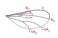 Porricondylinae.
