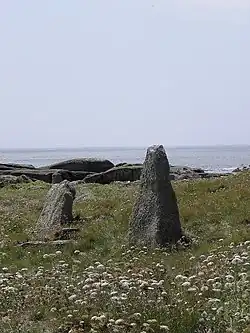 Image illustrative de l’article Menhirs de l'île Melon