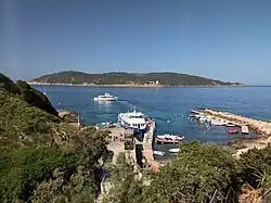 Petit port avec un appontement en V qui accueille une navette de passagers à quai. Une île en arrière plan.