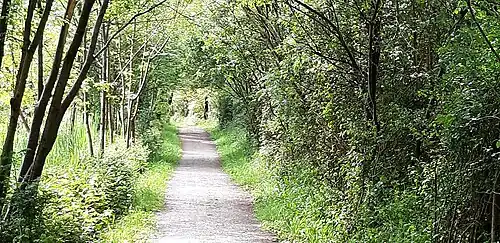 Chemin de randonnée