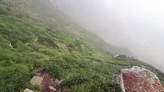 Image illustrative de l’article Port de la Pez