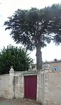 Portail du presbytère et le cèdre tricentenaire