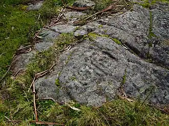 Image illustrative de l’article Pétroglyphes de Portela da Laxe