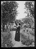 Portrait de Caire Géniaux cueillant des agrumes. Photographie de Charles Géniaux vers 1905-1910