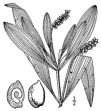 Description de cette image, également commentée ci-après