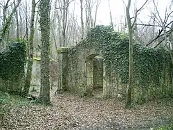 Ruines sans toit couvertes de lierre dans une forêt