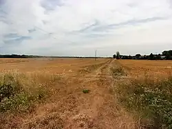 Photographie en couleurs d'un chemin herbeux surélevé par rapport aux champs qui le bordent.